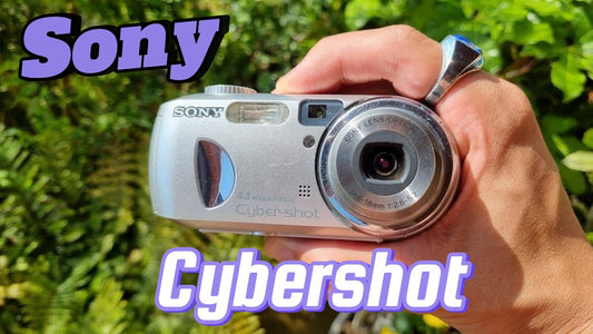 Using the Sony Cybershot DSC-P73: A 2004 Digital Camera in 2024