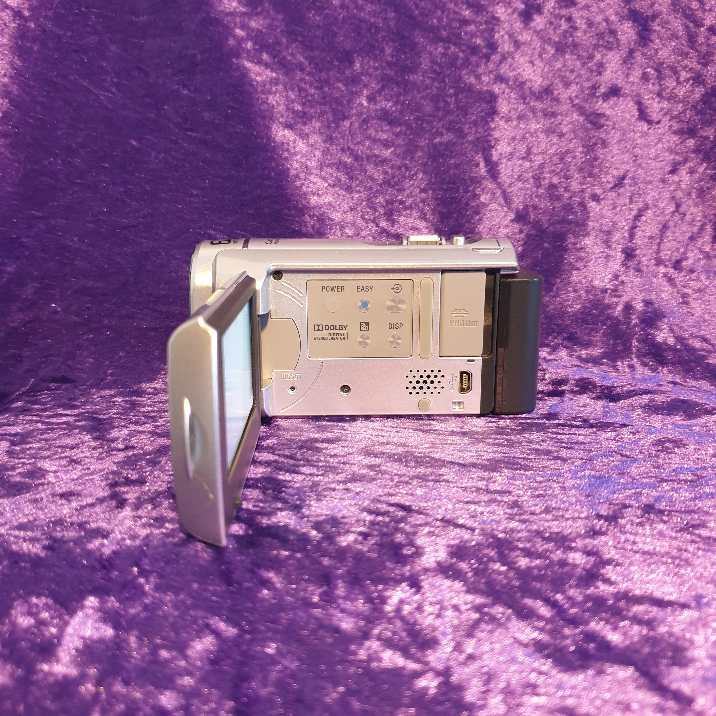 Sony Handycam DCR-SX30E