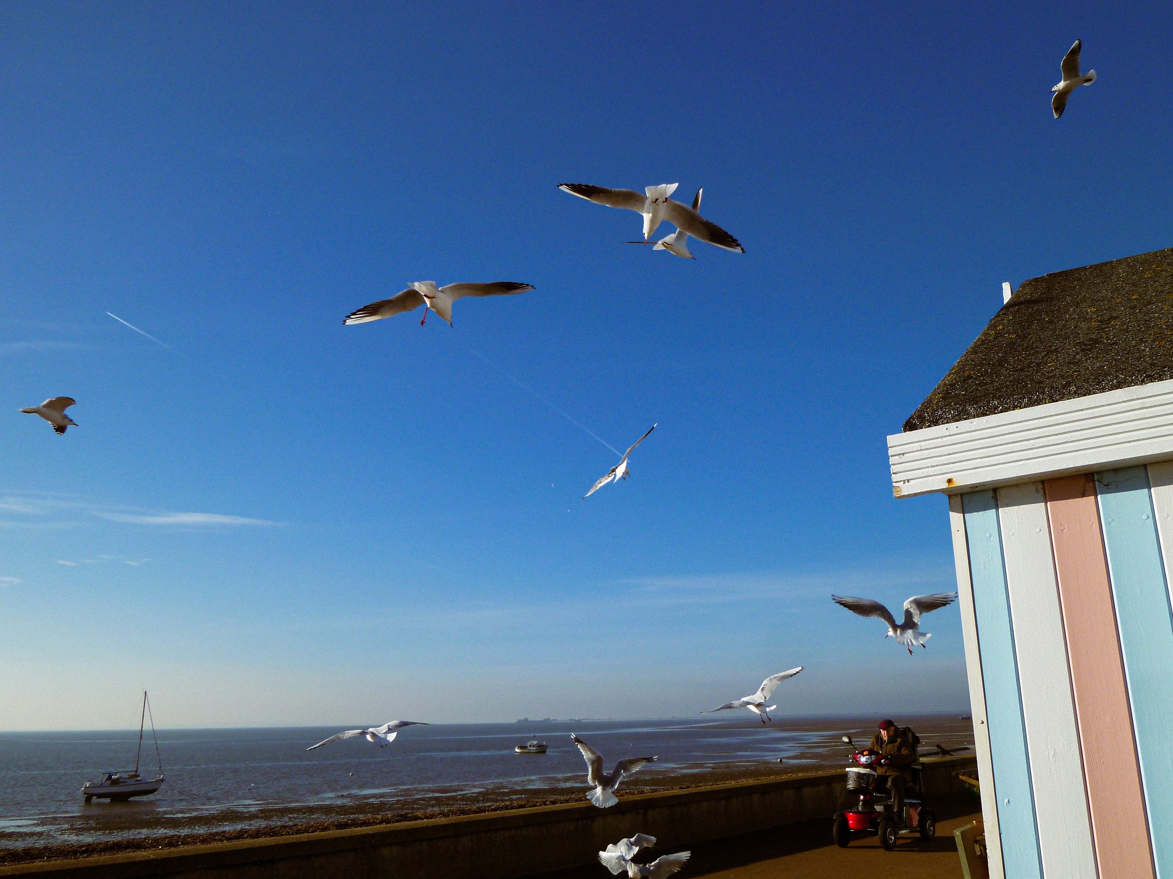 Max's Nostalgia Presets