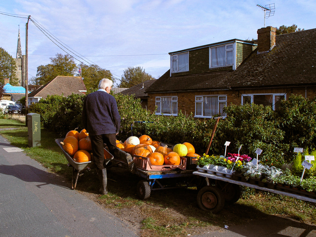 Max's Nostalgia Presets