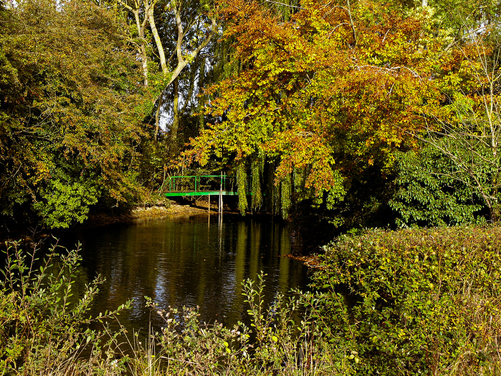 Max's Nostalgia Presets