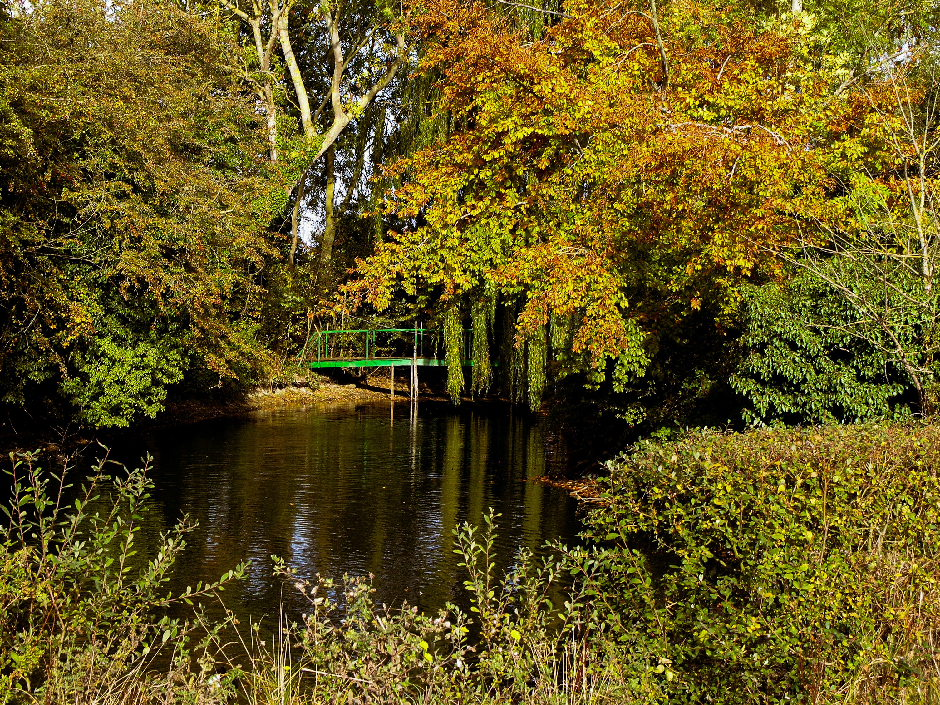 Max's Nostalgia Presets